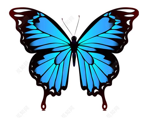 藍色蝴蝶象徵